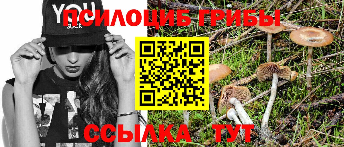 Мегион  Псилоцибиновые грибы мицелий  Вход с VPN 