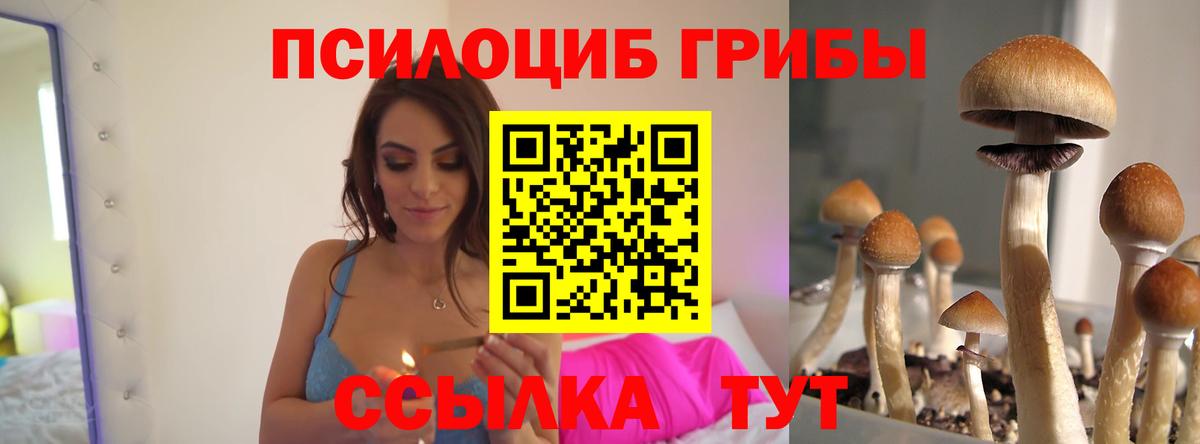 Галлюциногенные грибы прущие грибы Мегион